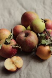 Einsteiger Obst baby-led weaning Äpfel