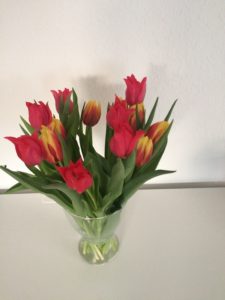 Freitagslieblinge von breifreibaby - endlich wieder Tulpen