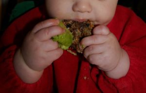 Avocado und Babykekse - Baby-led weaning Erfahrungen im Bericht
