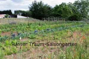Unser Traum Saisongarten - eBay Home & Garden machts möglich
