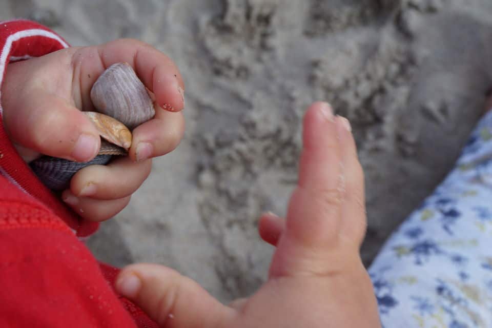 Kindereigenschaften - Kinderhände mit Muscheln am Strand