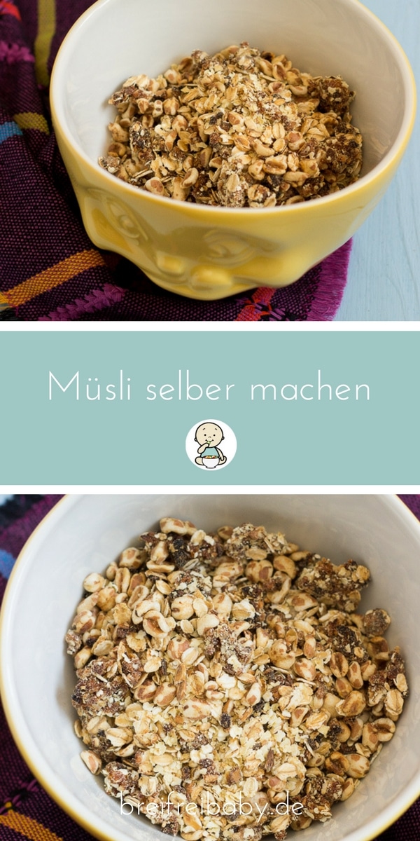 Musli Selber Machen Ohne Zucker Fur Kinder Und Babys Geeignet