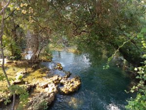 Felsen, Bäume und klares blaues Wasser im Krka Nationalpark in Kroatien