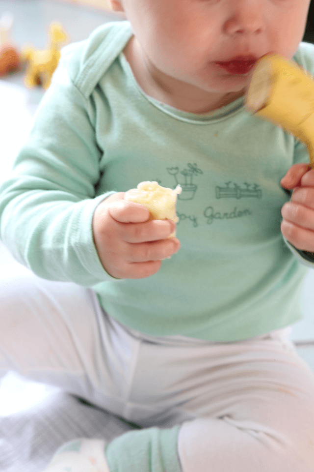 Wie oft Baby essen anbieten? Wir sagen dir, wie der Beikoststart aussehen kann.
