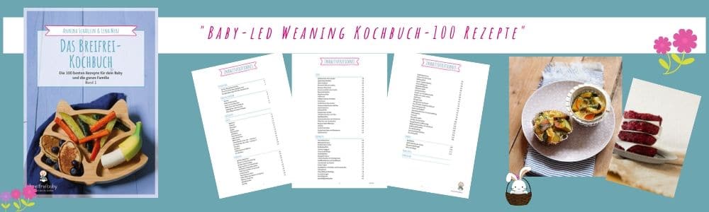 Baby-led weaning kochbuch