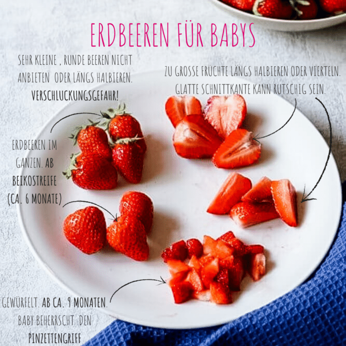 Erdbeeren für Babys schneiden - BLW und breifrei - ab wann darf mein Baby Erdbeeren essen und wie kann ich sie anbieten?