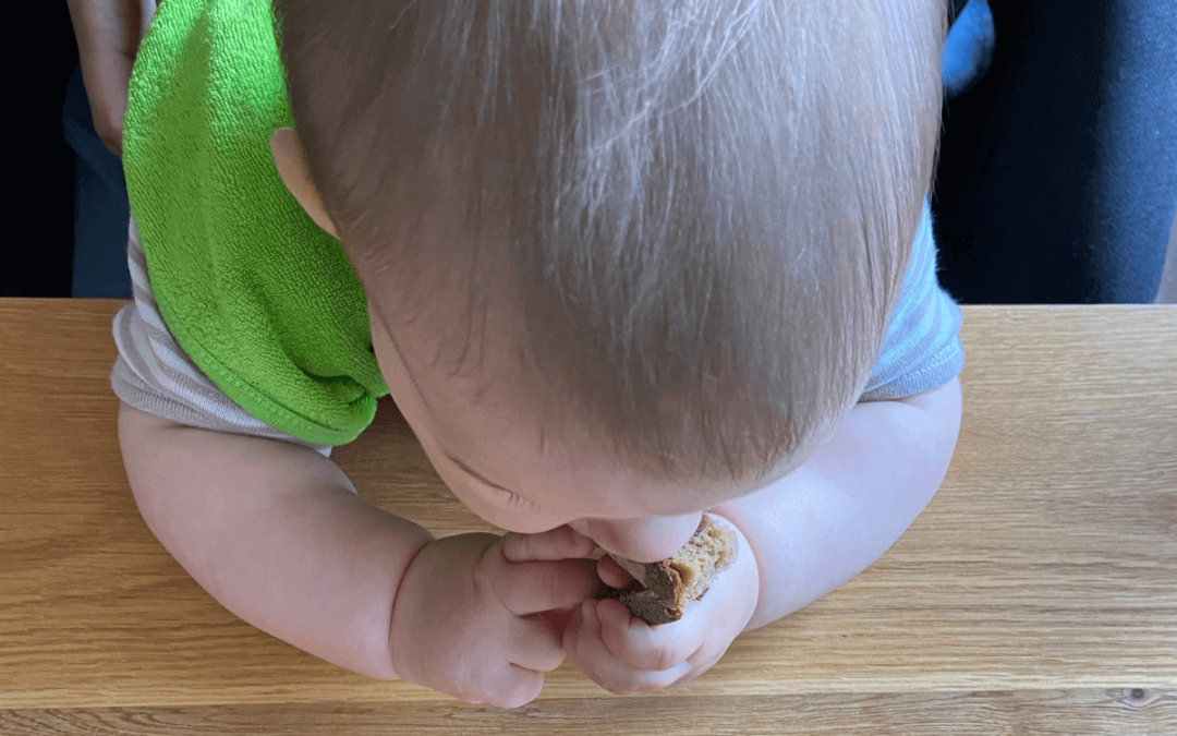 Gehirnentwicklung Kinder fördern