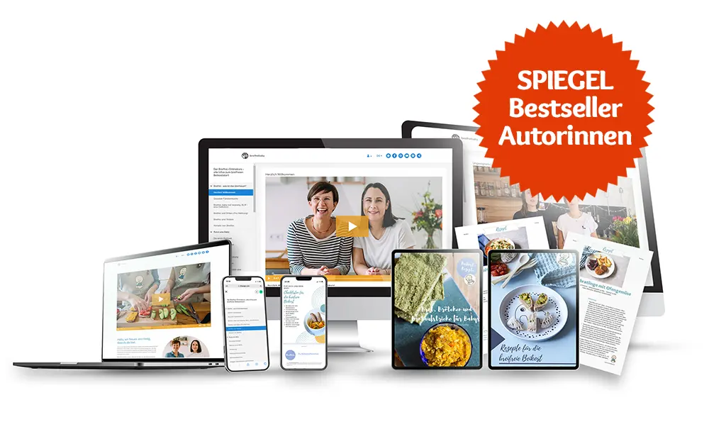 Online Kurs Mockup Batch