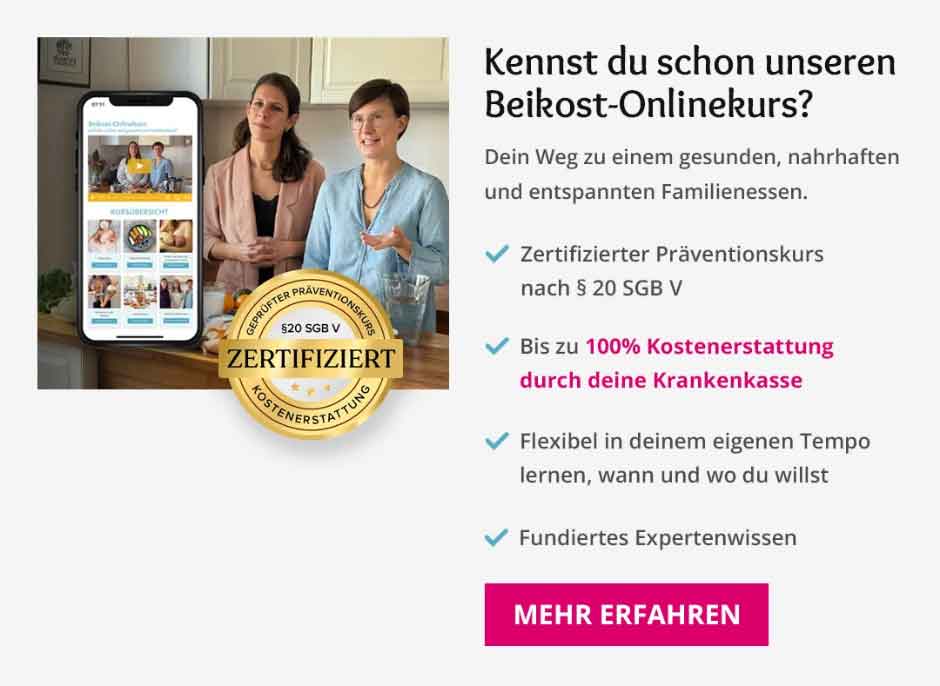 Onlinekurs Babynahrung