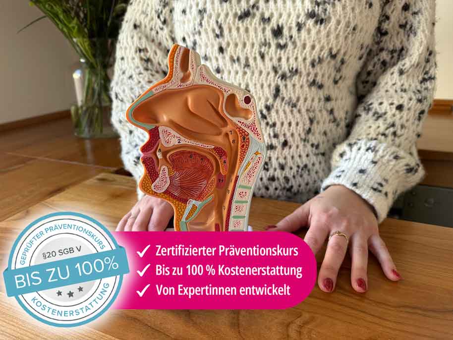 Präventionskurs Beikost - Schluckvorgang erklärt