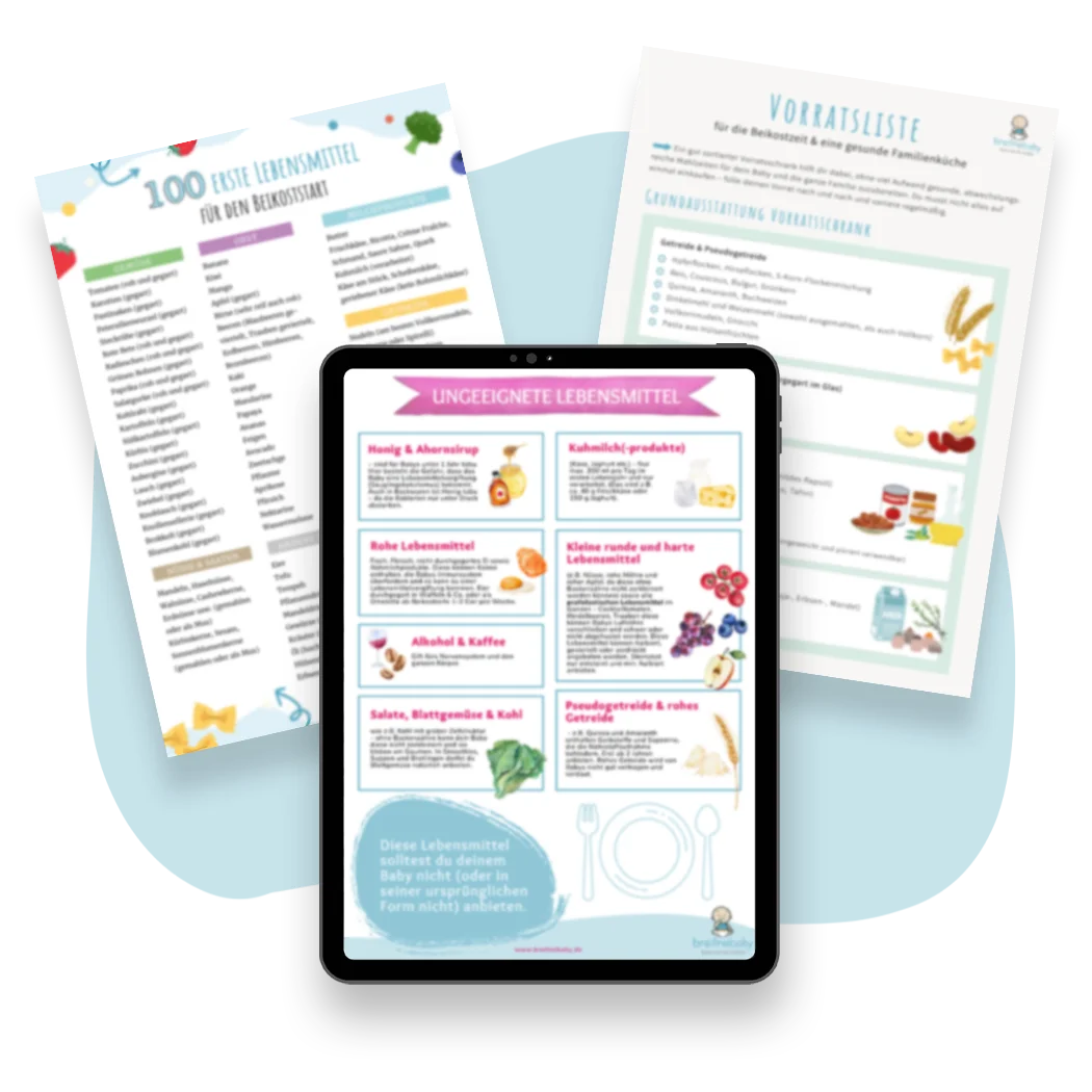 Drei PDF-Dateien zum Thema breifreie Beikost nebeneinander angeordnet