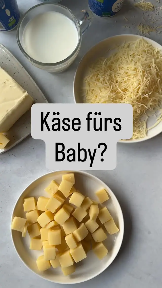 Käse ist reich an Kalzium, Eiweiß & Fett – aber auch an Salz. Deshalb kommt es auf die Form & Menge an.

👶 Für Babys empfehlen wir: 
✅ Gerieben (z. B. Parmesan, Gouda, Mozzarella über Nudeln)
✅ wenig geschmolzen in Gerichten (z. B. Gemüsegratin)
✅ In kleinen Mengen fein gewürfelt ab dem Pinzettengriff (ca. 9. Monat)

⚠️ Achtung bei Hartkäse oder sehr salzigen Sorten wie: – Feta – Bergkäse – Schmelzkäseprodukte (mit Zusatzstoffen!)

💡 Lieber milde, pasteurisierte Sorten wählen und nur punktuell einsetzen – z. B. als Topping oder zum Verfeinern.

🎓 In unserem Beikostkurs zeigen wir dir: – Welche Käsesorten sich ab wann eignen – Wie du verstecktes Salz erkennst – Und wie du Käse sinnvoll & sicher in die Familienküche integrierst

💌 Kommentiere 🤍 und wir senden dir den Kurslink direkt per Nachricht – viele Krankenkassen bezuschussen bis zu 100 %!