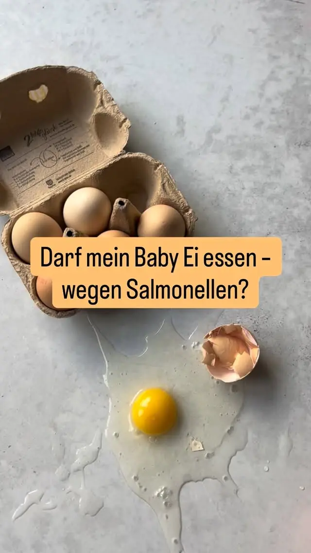 Viele Eltern sind verunsichert, ob Ei wegen Salmonellen in der Beikost okay ist – ganz klar: Ja, aber mit der richtigen Zubereitung!

⚠️ Wichtig: 
❌ Kein rohes Ei in Desserts, Teig oder Aufstrichen
❌ Kein weiches Ei mit flüssigem Eigelb
✅ Immer: hartgekocht, gut durchgebraten oder in Teig komplett durchgegart

💡 Vermeide auch rohe Kuchenteige – rohes Mehl + Ei = hohes Infektionsrisiko

🎓 In unserem zertifizierten Beikostkurs zeigen wir dir: – welche Lebensmittel du wie zubereiten musst
– und wie du dein Baby gut geschützt an Familienkost heranführst

👉 Kommentiere mit “🤍” für den Link zum Kurs.
