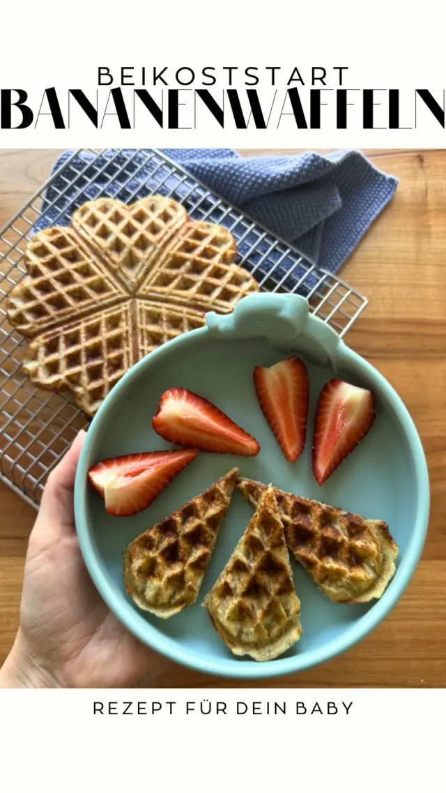Ein super einfaches Rezept für den Beikoststart:

🧇zuckerfreie Bananenwaffeln mit der Extraportion Nährstoffe 

1 reife Banane 🍌
1 Ei🥚
50 ml Öl oder zerlassene Butter🧈
50 g gemahlene Nüsse 🌰
50 g Mehl 
50 ml Planzendrink

Alle Zutaten wie im Video vorbereiten und dann im Waffeleisen auspacken. Für das Baby am besten die Herzen zu Beginn noch halbieren oder in schmale Sticks schneiden.🧇

Wann hast du dein Baby zum ersten Mal Waffeln angeboten?

#breifreibaby #breifrei #beikost #blw #beikoststart